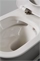 Унитаз подвесной, безободковый с крышкой-сиденьем BelBagno PRADO BB10150CH/BB10150SC BB10150CH/BB10150SC