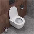 Унитаз укороченный подвесной безободковый с сиденьем и смывом TORNADO Cezares RELAX-TOR CZR-38088-49-TH-TOR/SC CZR-38088-49-TH-TOR/SC - фото 167705 Унитаз укороченный подвесной безободковый с сиденьем и смывом TORNADO Cezares RELAX-TOR CZR-38088-49-TH-TOR/SC CZR-38088-49-TH-TOR/SC - фото 167705