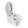 Унитаз подвесной безободковый с сиденьем BelBagno BOHEME BB115CH/BB115SC BB115CH/BB115SC - фото 167785 Унитаз подвесной безободковый с сиденьем BelBagno BOHEME BB115CH/BB115SC BB115CH/BB115SC - фото 167785