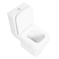 Унитаз-компакт безободковый с сиденьем BelBagno AURORA BB8604CPR/SC+BB8604T 8450 - фото 167795 Унитаз-компакт безободковый с сиденьем BelBagno AURORA BB8604CPR/SC+BB8604T 8450 - фото 167795