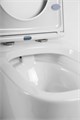Унитаз подвесной безободковый с крышкой-сиденьем BelBagno ALPINA BB10100CHR/SC BB10100CHR/SC - фото 167822 Унитаз подвесной безободковый с крышкой-сиденьем BelBagno ALPINA BB10100CHR/SC BB10100CHR/SC - фото 167822
