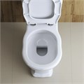 Унитаз компакт безободковый P-trap BelBagno BOHEME BB115CPR + BB115T + BB115SC 796 - фото 167866 Унитаз компакт безободковый P-trap BelBagno BOHEME BB115CPR + BB115T + BB115SC 796 - фото 167866