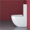 Унитаз-компакт безободковый Cezares STYLUS CZR-152-CPR+CZR-151-T 8465 - фото 167889 Унитаз-компакт безободковый Cezares STYLUS CZR-152-CPR+CZR-151-T 8465 - фото 167889