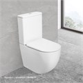 Унитаз-компакт безободковый Cezares STYLUS CZR-152-CPR+CZR-151-T 8465 - фото 167892 Унитаз-компакт безободковый Cezares STYLUS CZR-152-CPR+CZR-151-T 8465 - фото 167892