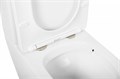 Унитаз-компакт безободковый Cezares STYLUS CZR-152-CPR+CZR-151-T 8465 - фото 167900 Унитаз-компакт безободковый Cezares STYLUS CZR-152-CPR+CZR-151-T 8465 - фото 167900