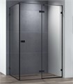 Душевой уголок Cezares BELLAGIO-AH-1-140/80-C-NERO, 140х80х197, профиль черный, прозрачное стекло BELLAGIO-AH-1-140/80-C-NERO - фото 173654
