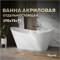 Ванна акриловая 170х73 отдельностоящая Teymi Ellie Pro белая T130202 1221058