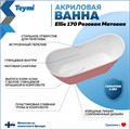 Ванна акриловая 170x80 отдельностоящая Teymi Ellie розовая матовая T130117 1207363