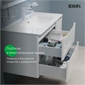 Тумба с умывальником IDDIS  подвесная EDI10W1i95K