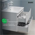 Тумба с умывальником IDDIS  подвесная EDI60W0i95K