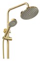 Душевая система ПСМ-Профсан ПСМ-303-8 Steel (PSM-303-8) тип См-ВДшОРНТрА Золото PSM-303-8