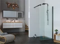 Душевая перегородка ALEX BAITLER 29 серия AB2990B1 прозрачное стекло AB2990B1