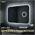 Зеркало настенное с подсветкой в ванную Teymi Solli 120х80 LED сенсор на взмах увеличительное зеркало 3х T20212IRU 1189417 - фото 189670