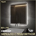 Зеркало настенное с подсветкой в ванную Teymi Solli Pro 60х70 LED сенсор T20253 1205636 - фото 189831