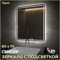 Зеркало настенное с подсветкой в ванную Teymi Solli Pro 60х70 LED сенсор T20253 1205636