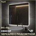 Зеркало настенное с подсветкой в ванную Teymi Solli Oreol Pro 80х80 LED сенсор T20260 1205643 - фото 189880