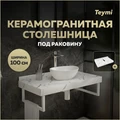 Столешница под раковину керамогранитная 100 см Teymi Helmi цвет белый мрамор T150110 1220092