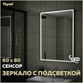 Зеркало настенное с подсветкой в ванную Teymi Helmi Black Edition 60х80 LED сенсор на взмах T20303IR 1189783 - фото 189993