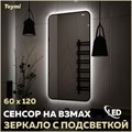 Зеркало настенное с подсветкой в ванную Teymi Solli Black Soft Line 60x120 LED сенсор на взмах T20235S 1201626 - фото 190116
