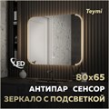 Зеркало настенное с подсветкой в ванную Teymi Solli Luxor 800х650 LED сенсор антипар T20402 1221086 - фото 190226