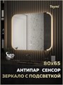 Зеркало настенное с подсветкой в ванную Teymi Solli Luxor 800х650 LED сенсор антипар T20402 1221086 - фото 190242 Зеркало настенное с подсветкой в ванную Teymi Solli Luxor 800х650 LED сенсор антипар T20402 1221086 - фото 190242