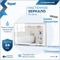 Зеркало настенное с подсветкой в ванную Teymi Hanna 70х50 LED T20250 1204748