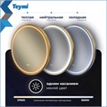 Зеркало настенное с подсветкой в ванную круглое Teymi Lina Supernova Gold D60 LED сенсор антипар T20121 1221081