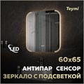 Зеркало настенное с подсветкой в ванную Teymi Solli Luxor 600х650 LED сенсор антипар T20401 1221085 - фото 190347