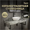 Столешница под раковину керамогранитная 100 см Teymi Helmi цвет серый мрамор T150210 1220097 - фото 190403