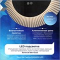 Зеркало настенное с подсветкой в ванную Teymi Iva Caprice 500х1100 LED сенсор антипар T20610 1221088