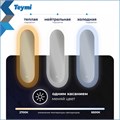 Зеркало настенное с подсветкой в ванную Teymi Iva Caprice 500х1100 LED сенсор антипар T20610 1221088