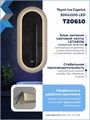 Зеркало настенное с подсветкой в ванную Teymi Iva Caprice 500х1100 LED сенсор антипар T20610 1221088