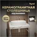 Столешница под раковину керамогранитная 70 см Teymi Helmi цвет белый мрамор T150107 1220089 - фото 190511