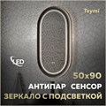 Зеркало настенное с подсветкой в ванную Teymi Iva Magic Black 500х900 LED сенсор антипар T20622 1223544 - фото 190537