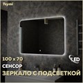 Зеркало настенное с подсветкой в ванную Teymi Solli Oreol 100х70 LED сенсор T20228S 1197552 - фото 190637