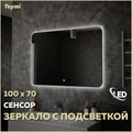 Зеркало настенное с подсветкой в ванную Teymi Solli Oreol 100х70 LED сенсор T20228S 1197552
