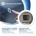 Зеркало настенное с подсветкой в ванную Teymi Solli Oreol 100х70 LED сенсор T20228S 1197552