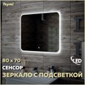 Зеркало настенное с подсветкой в ванную Teymi Solli Oreol 80х70 LED сенсор T20226S 1197551 - фото 190659