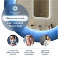 Зеркало настенное с подсветкой в ванную Teymi Solli Oreol 50х70 LED сенсор T20222S 1197549