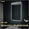 Зеркало настенное с подсветкой в ванную Teymi Aina 50х80 LED часы T20002С 1176108 - фото 191262