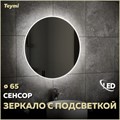 Зеркало настенное с подсветкой в ванную круглое Teymi Lina D65 LED сенсор на взмах T20104IR 1189416 - фото 191286