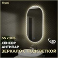 Зеркало настенное с подсветкой в ванную Teymi Iva 55х105 LED сенсор антипар T20602SA 1176107