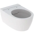 iCon Унитаз подвесной без ободка, Rimfree, 6л, 530 мм 204060000