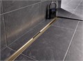 Дренажный канал Geberit CleanLine80: L=30-90см, шампань / полированная, с покрытием, шампань / матированная, с покрытием 154.440.39.1 154.440.39.1 - фото 199277 Дренажный канал Geberit CleanLine80: L=30-90см, шампань / полированная, с покрытием, шампань / матированная, с покрытием 154.440.39.1 154.440.39.1 - фото 199277