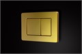 Клавиша для инсталляции CHARUS Robusto FP.310.BG.05, брашированное золото FP.310.BG.05