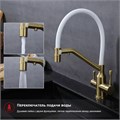 Смеситель Raglo для кухни со съемным гибким изливом, с магнитным фиксатором излива, с подключением фильтра питьевой воды (R81.62.03) R81.62.03