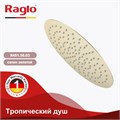 Тропический душ Raglo ?300мм (нерж) сатин золотой (R451.56.03) R451.56.03