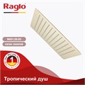 Тропический душ Raglo 300*300мм (нерж) сатин золотой (R451.55.03) R451.55.03