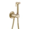 Смеситель ABBER Wasser Kreis AF8125G с гигиеническим душем, золото матовое AF8125G