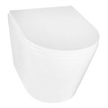 Унитаз подвесной Azario Teramo 515х355х365 безободковый, с быстросъемным сиденьем микролифт (AZ-0053) AZ-0053